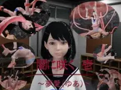 黑暗中绽放1