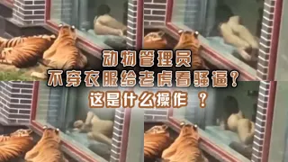 动物管理员不穿衣服给老虎看骚逼？这是什么操作 ？