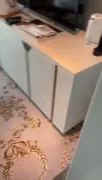 【遛狗电梯露出视频，绝对精彩！！！】你们猜这条小狗在电梯门口蹲了多久？转发过百发滴腊视频！