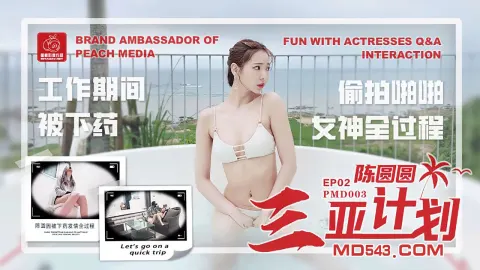 PMD003 三亞企劃 特別專訪 輝月杏梨