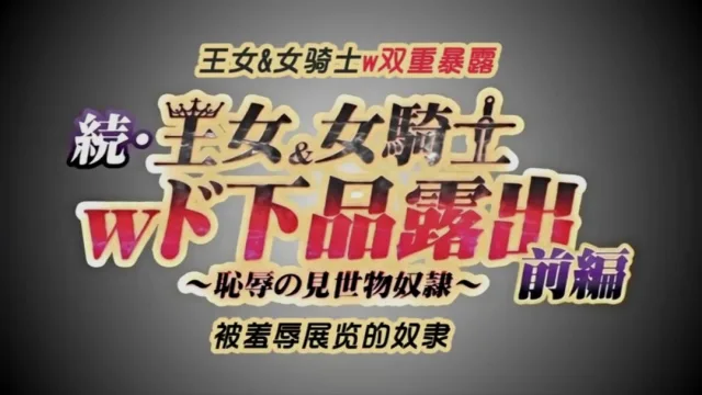 第一集长期持续的超级大国之间的战争以德米纳斯帝国的胜利而告终引导爱尔斯塔王国走向灭
