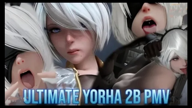【3D】 同人御姐2B皮衣