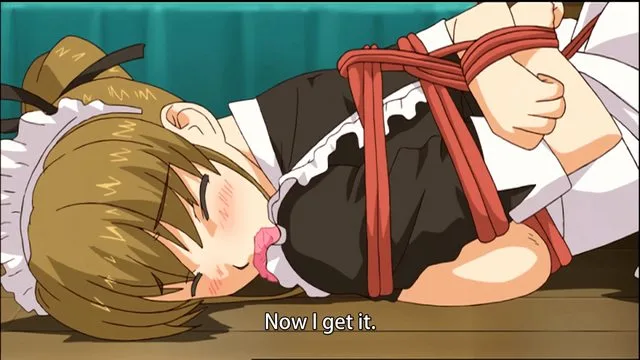 MAID iN HEAVEN SuperS