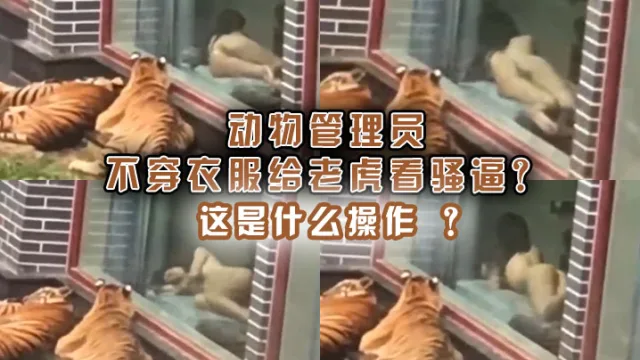 动物管理员不穿衣服给老虎看骚逼？这是什么操作 ？