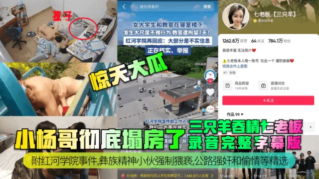 【惊天大瓜】小杨哥彻底塌房了！三只羊吞精齐老板录音完整字幕版！附红河学院事件，彝族精神小伙强制猥亵，公路强奸和偷情等精选！