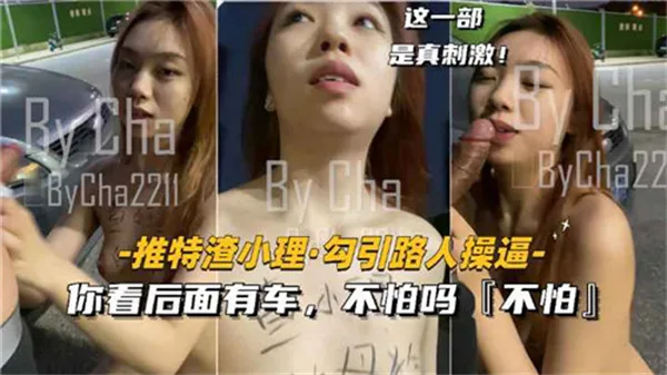 推特渣小理，勾引路人操逼，这一部是真刺激