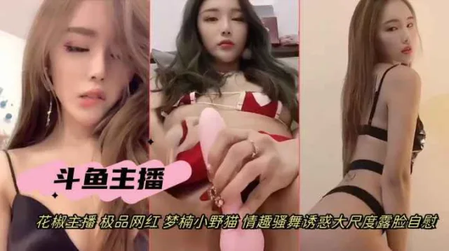 抖音网红女主播梦楠小野猫情趣骚舞道具自慰诱惑露脸