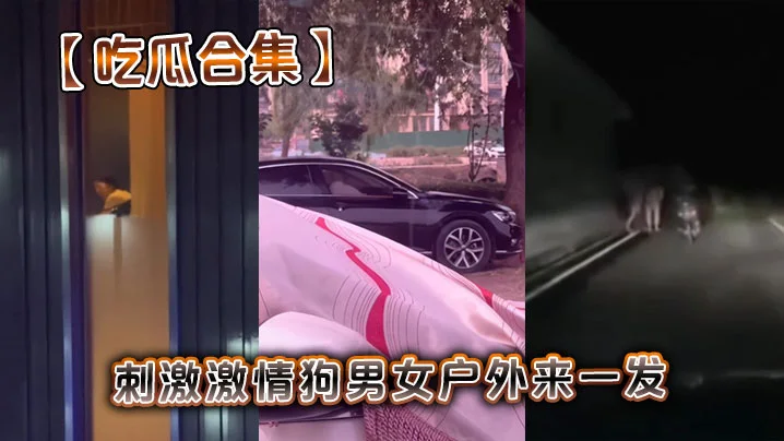 【吃瓜合集】刺激激情狗男女户外来一发