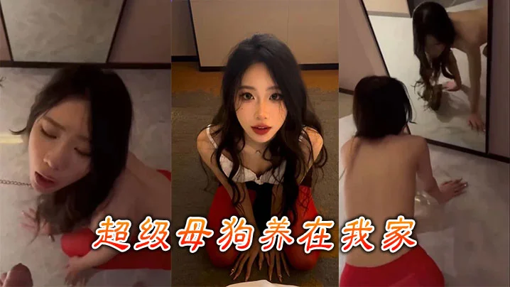 超级母狗养在我家