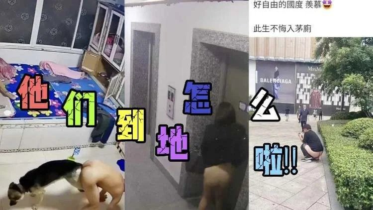 【吃瓜泄密】老婆在旁边睡偷偷和狗哥玩游戏