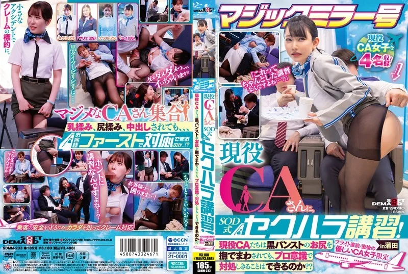 SDMM-233 魔镜巴士为在职空服员提供SOD式性骚扰训练这些在职空服员能否在穿著黑色丝袜